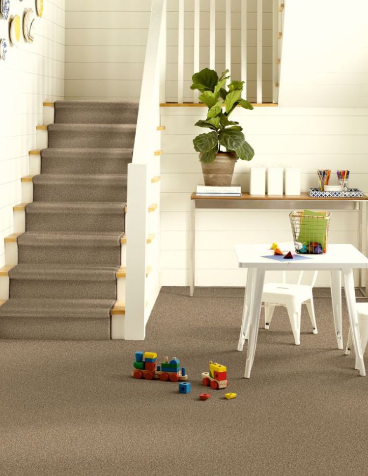carpets in a Florida entryway