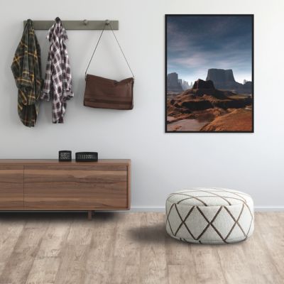 hardwood flooring in a bright FL entryway
